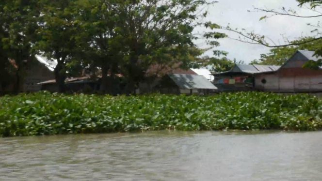 
 Banjir Luapan Danau Tempe Meluas, 4 Kecamatan Terendam