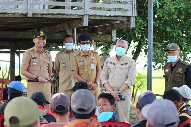 
 Lima kelompok tani, Dusun Kampung Baru, Desa Waetuoe Kecamatan Lanrisang menggelar Gerakan Pengendalian (Gerdal) Hama tikus, yang dihadiri oleh Bupati Pinrang Irwan Hamid, Senin (21/3/2022).