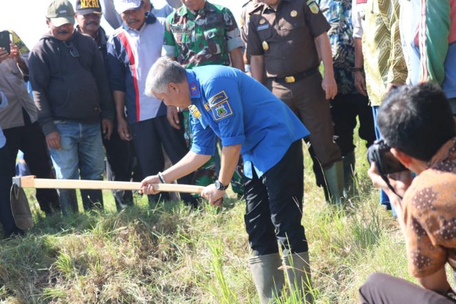 
 Bupati Pinrang, Irwan Hamid bersama Kepala Kejaksaan Negeri Pinrang Agus Khairuddin berbaur bersama masyarakat Petani Desa Patobong Kecamatan Mattiro Sompe, Kamis (2/6/2022).
