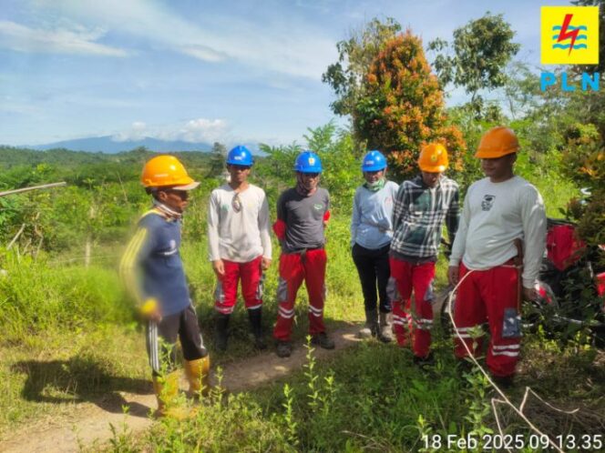 
 Antisipasi Gangguan Listrik, PLN Sidrap Gencarkan Pemangkasan Pohon di Musim Hujan