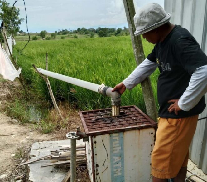 
 Pencurian 11 Pompa Celup di Sidrap, Puluhan Hektar Sawah Terancam Gagal Panen