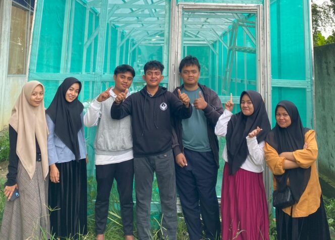 
 Inovasi Mahasiswa UMS Rappang: Greenhouse Hidroponik sebagai Output Program MBKM