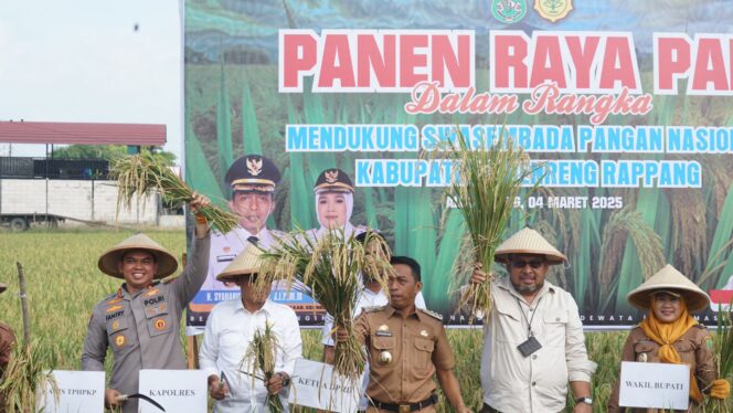 
 Dirjen PSP Panen Raya di Sidrap, Hasilnya Capai 6,5 Ton Perhektar