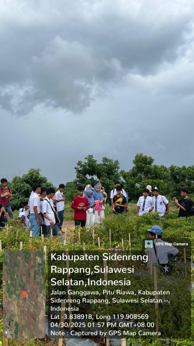 
 Prodi Agribisnis UMS Rappang Jadi Pusat Inovasi: Irigasi Tetes di Lahan Cabai Inspirasi Siswa SMK PP Rea Timur