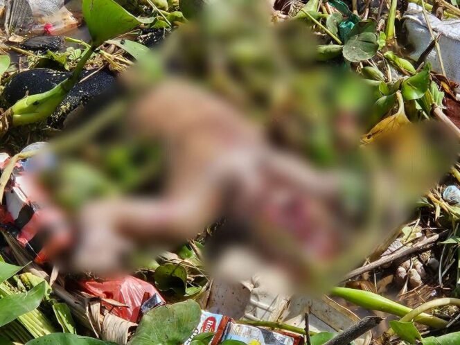 
 Warga Geger, Irigasi Sidrap Ditemukan Tiga Korban Meninggal