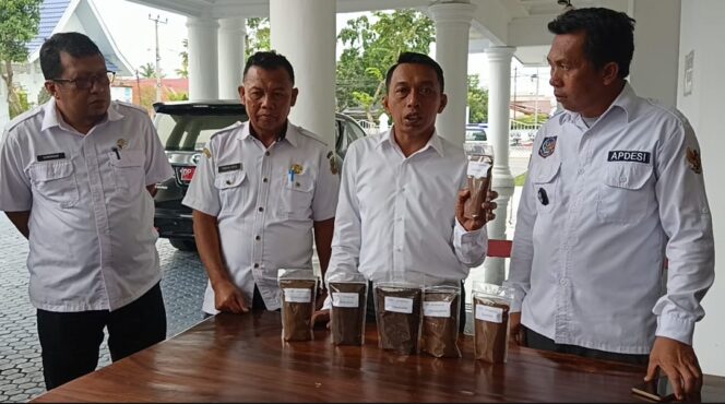 
 Kopi Robusta Sidrap Mulai Panen, Bupati Targetkan 10 ribu Hektar Perluasan Lahan