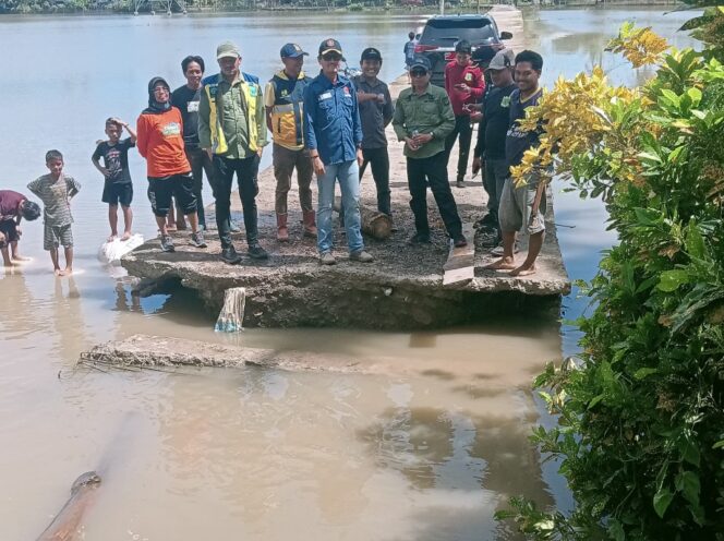 
 Pemkab Pinrang Tinjau Lahan Pertanian Tergenang, 590 Hektar Sawah Terdampak