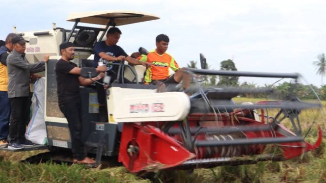 
 Bupati Sidrap Hadiri Panen Raya di Sidenreng, Apresiasi Kerja Keras Petani