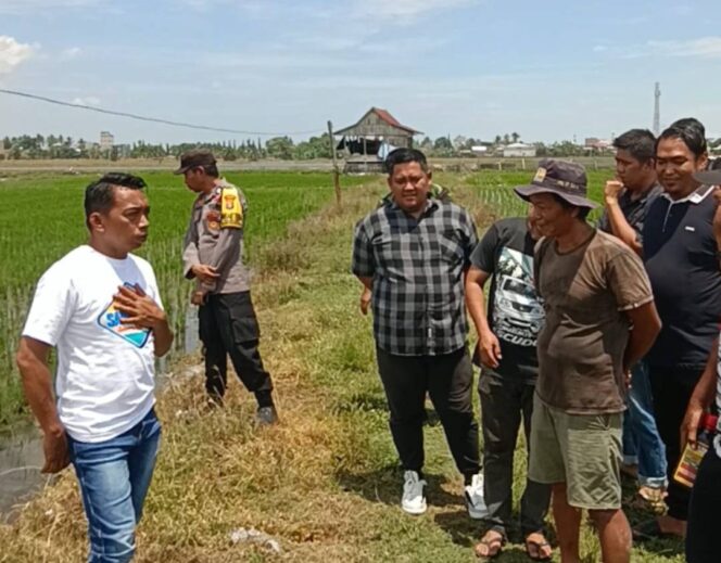
 Hari Libur, Bupati Sidrap Blusukan ke Sawah Temui Petani