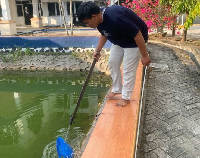 
 Kampus UMS Rappang Cetak Generasi Inovatif untuk Perikanan Berkelanjutan