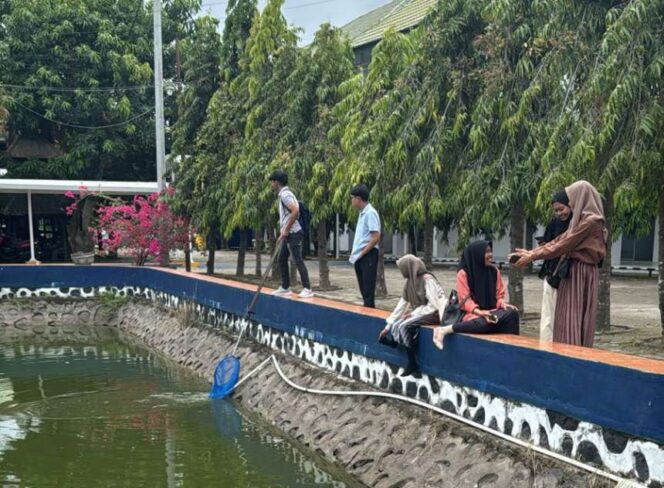
 Mahasiswa Ilmu Perikanan UMS Rappang Laksanakan Kegiatan MBKM Mandiri di Kolam Pendidikan