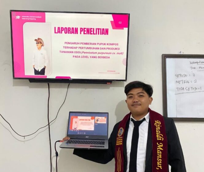 
 UMS Rappang: Riset Mahasiswa Tunjukkan Efektivitas Pupuk Kompos pada Odot