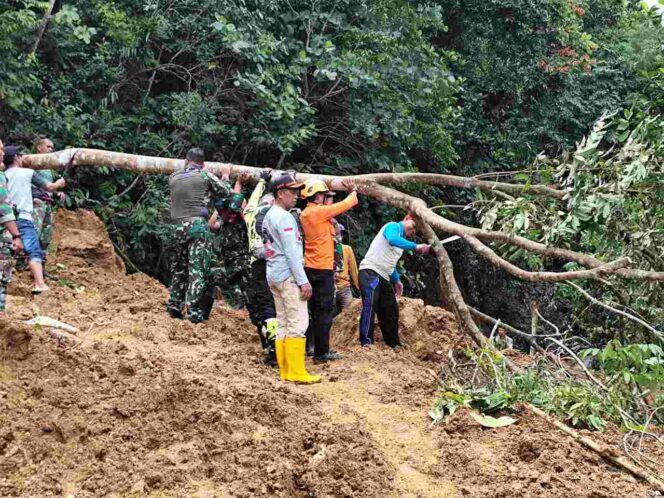 
 TRC BPBD Sidrap Tinjau Longsor di Leppangeng, 384 KK Terdampak