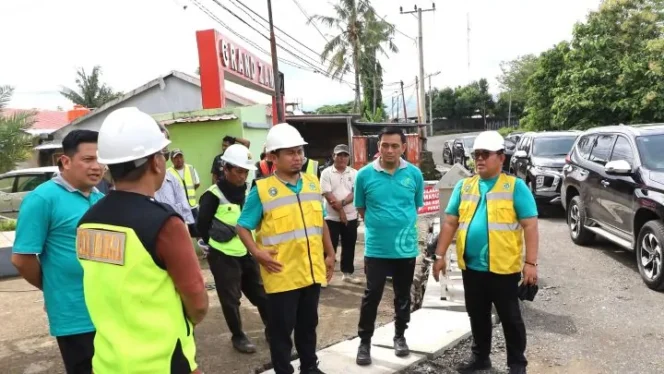 
 Tasming Hamid Minta Proyek Jalan Dikerjakan Sesuai Standar
