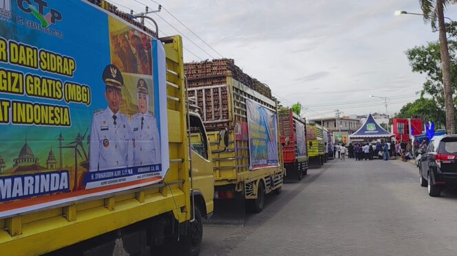 
 Penuhi Permintaan Stok MBG, Telur Sidrap ‘Ekspor’ ke Pelbagai Provinsi