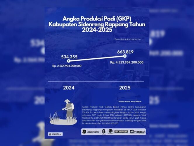 
 Produksi Padi Sidrap Melonjak 24,23 Persen Sepanjang 2025