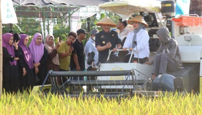 
 Fatmawati Rusdi Apresiasi Kinerja Petani, Panen Pinrang Terus Naik